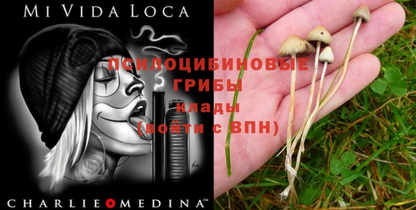 альфа пвп Лиски
