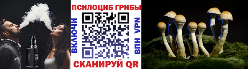 Псилоцибиновые грибы прущие грибы  Новомосковск 
